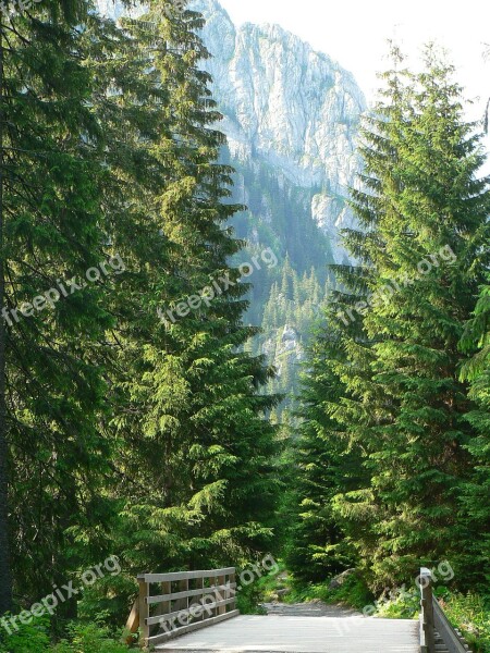 Kościeliska Valley Poland Nature Landscape Top View