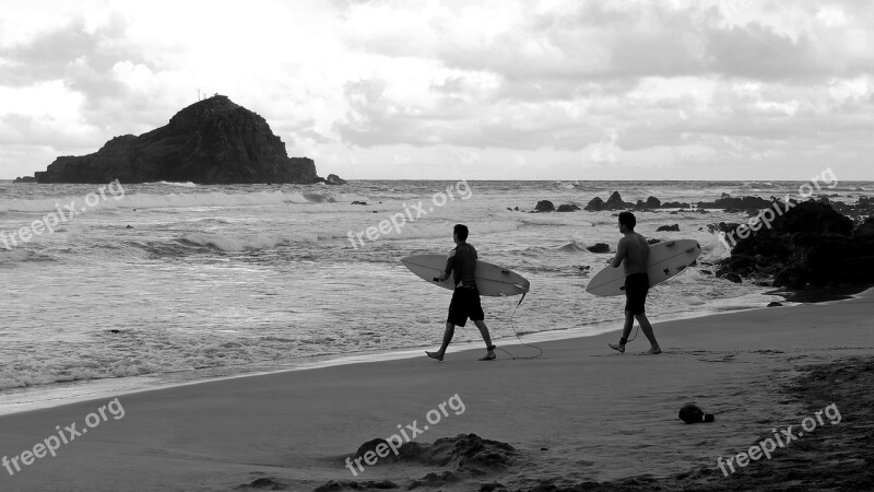 Surfer Island Beach Tropical Surfing