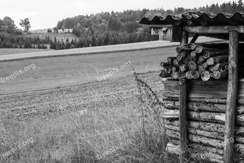 Scale Wood Field Forest Black And White