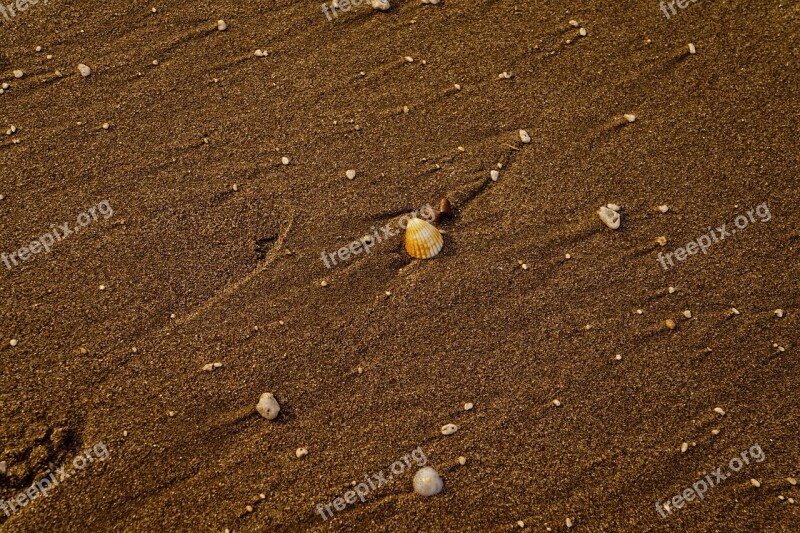 Sand Beach Coastal Landscape Free Photos