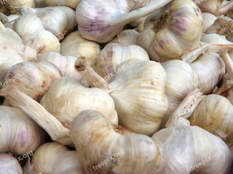 Garlic Aromatic Spice Food Fresh