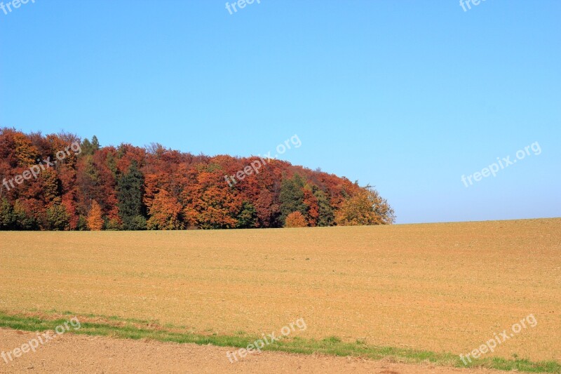 Field Autumn Forest Colorful Trees Free Photos