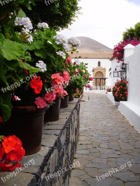 Fuerteventura Betancuria Spain Canary Rural