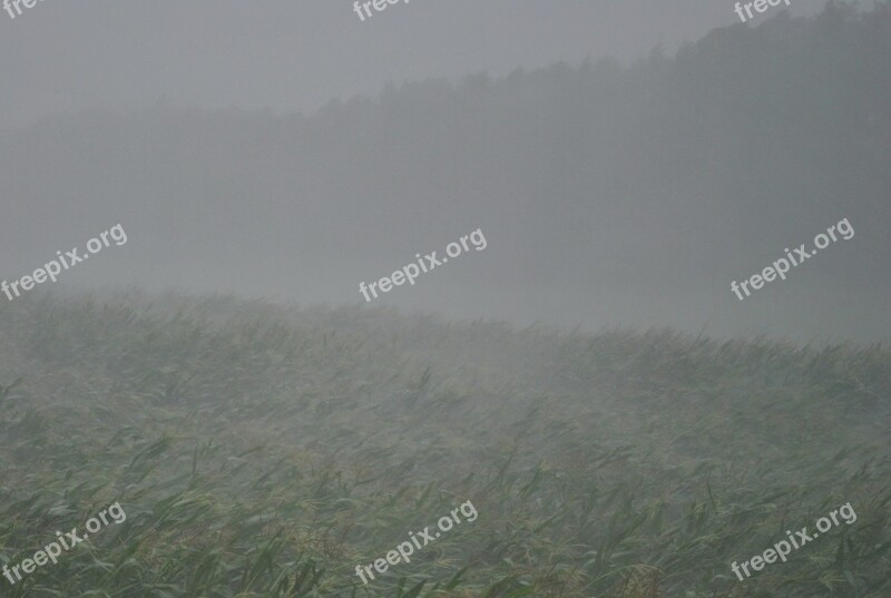 Thunderstorm Downpour Forward Rain Gloomy