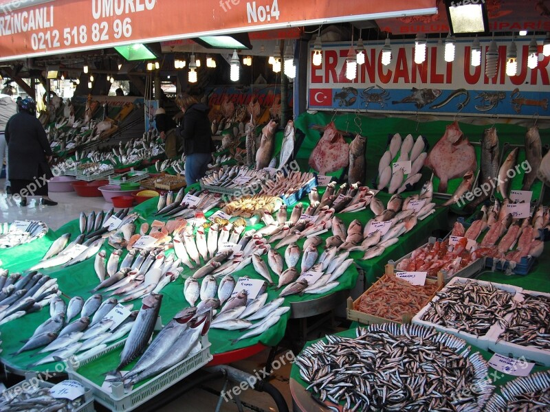 Market Fish Istanbul Kumkapu Free Photos