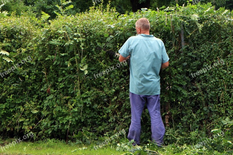 Landscape Gardener Gardener Workers Garden Hedge