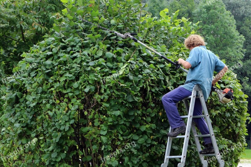 Landscape Gardener Gardener Workers Garden Hedge