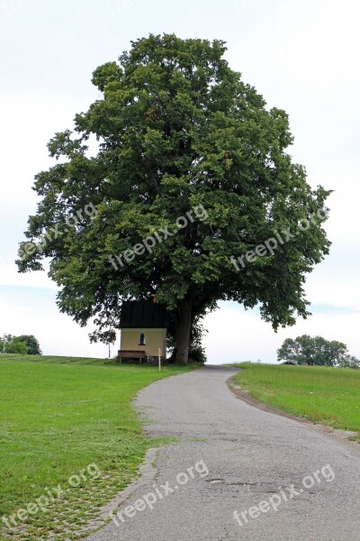 Away Wayside Chapel Tree Nature Promenade