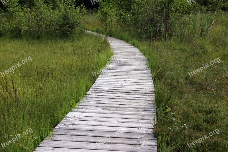 Wooden Track Away Path Trail Planks