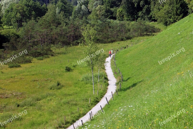 Trail Away Nature Meadow Trees