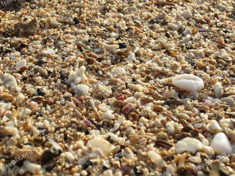 Sand Beach Coral Natural Texture