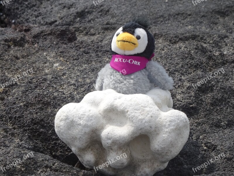 Soft Toy Tufa Stone Figure Beach