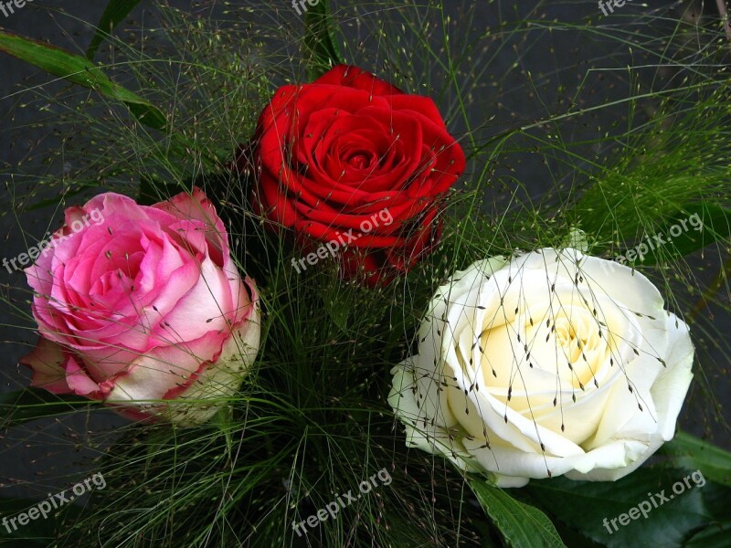 Roses Bouquet Red White Pink