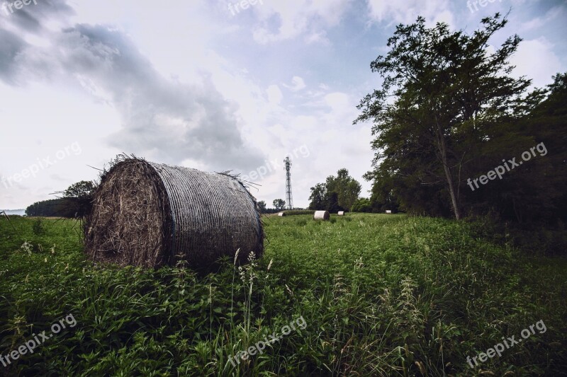 Hay Bale Grass Hay Nature Rural