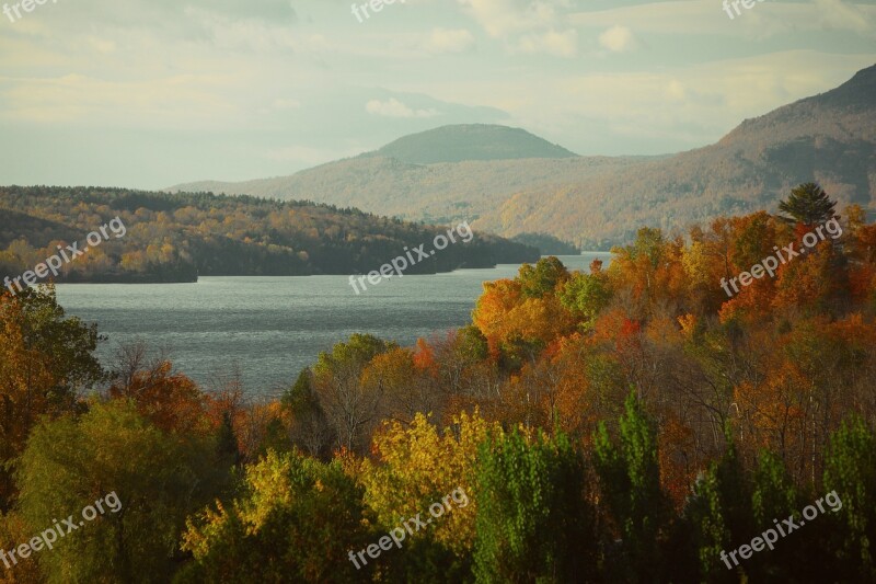 Lake Forest Nature Landscape Outdoors