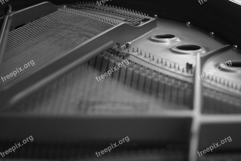 Piano Instrument Acoustic Music Music Instrument