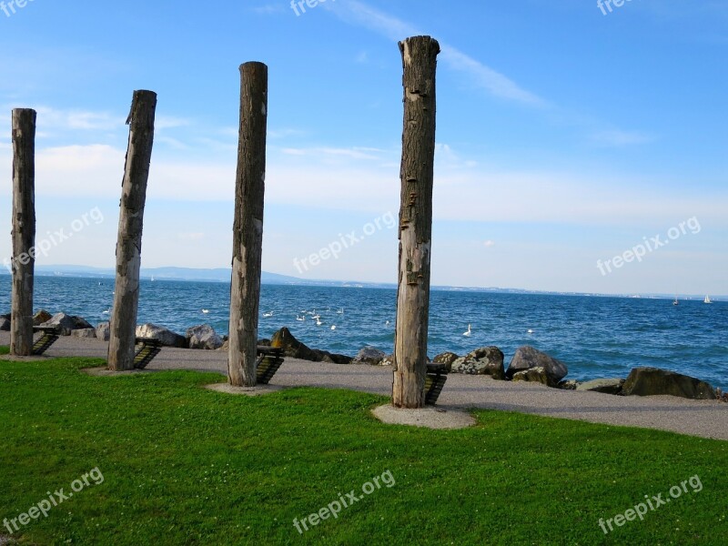 Lake Constance Art Tree Trunks Sculpture Switzerland