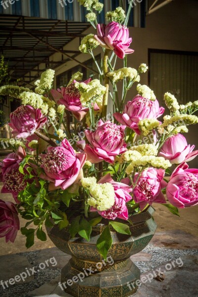 Bouquet Of Flowers Flowerpot Flower Pot Potted Plant Flowers