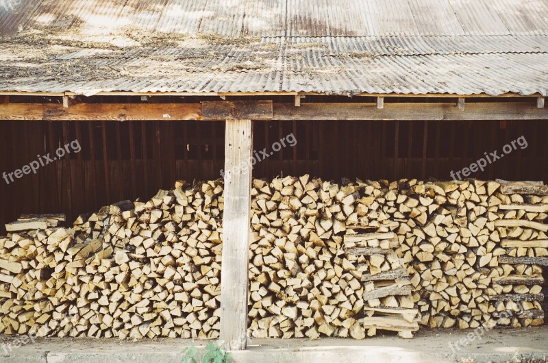 Logs Trunks Wood Timber Forest