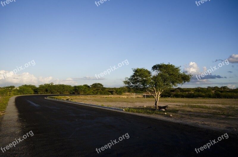 Road Highway Sky Tree Paving