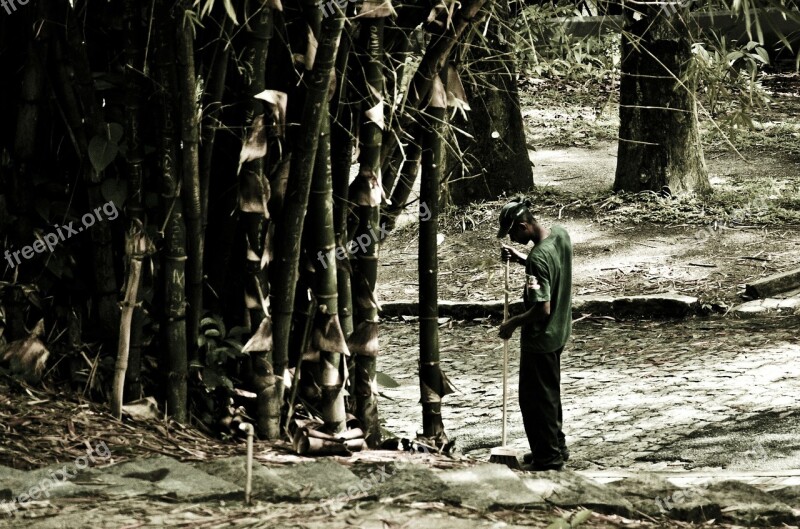 Man Sweeping Bamboo Free Photos