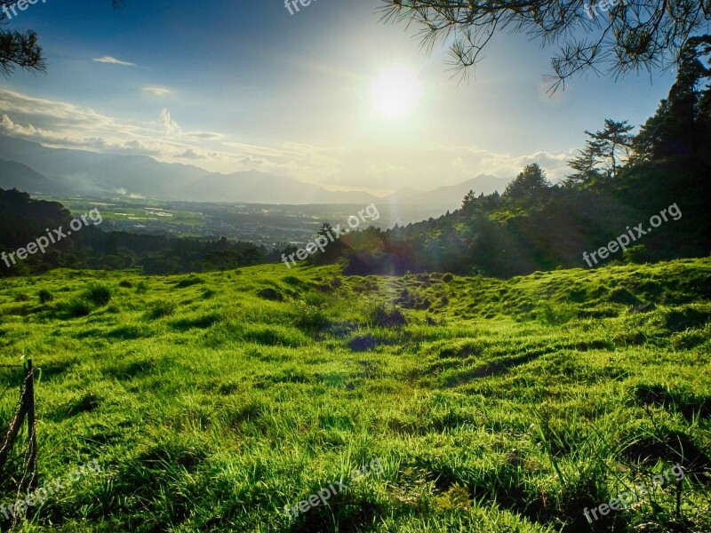 Japan Kumamoto Sun Light Green