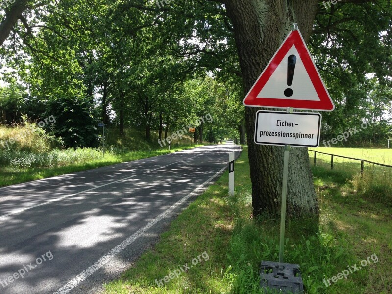 Oak Procession Spinner Nature Risk Plage Traffic Sign