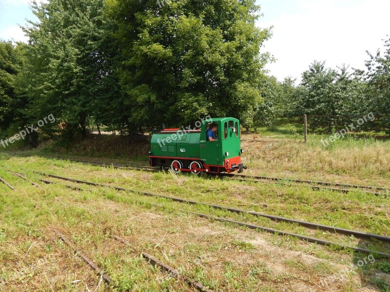 Narrow-gauge Railway Train Locomotive Historic Vehicle Rails