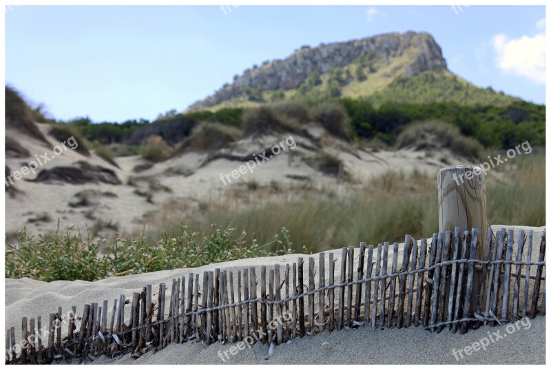 Dunes Sand Fence Nature Mallorca