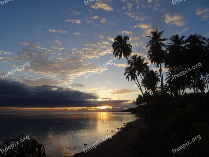 Palm Hawaii Vacations Sunset Molokaii