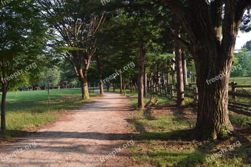 Nami Gil Wood Shadow Straight Road