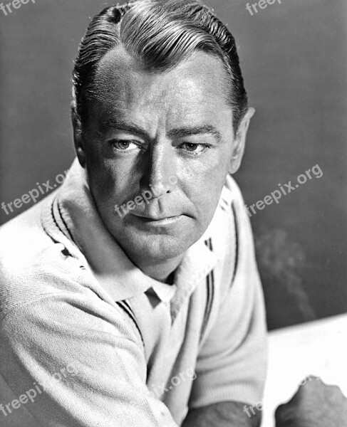 Alan Ladd Actor Film Television Producer