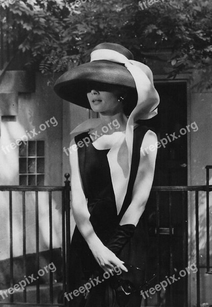 Audrey Hepburn Actress Vintage Movies Motion Pictures