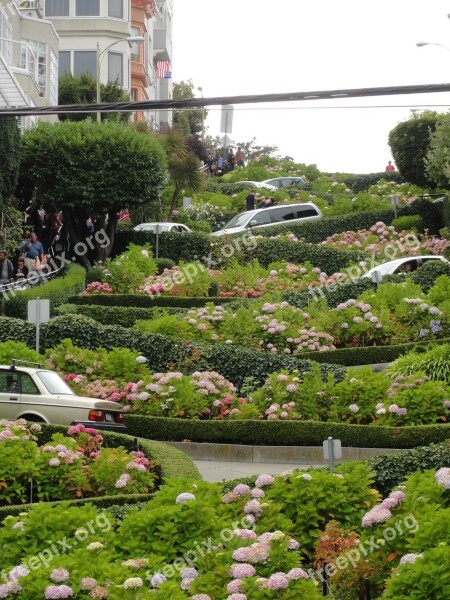 Lombard Street Street Road Steep San Francisco