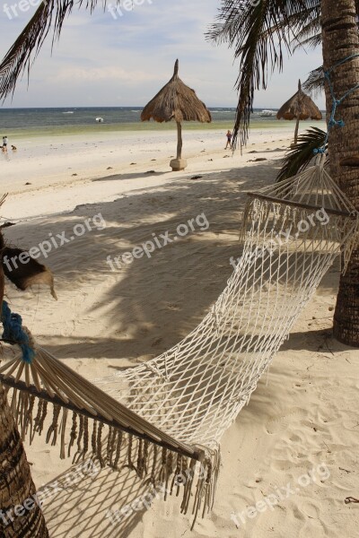 Hammock Beach Sea Free Photos