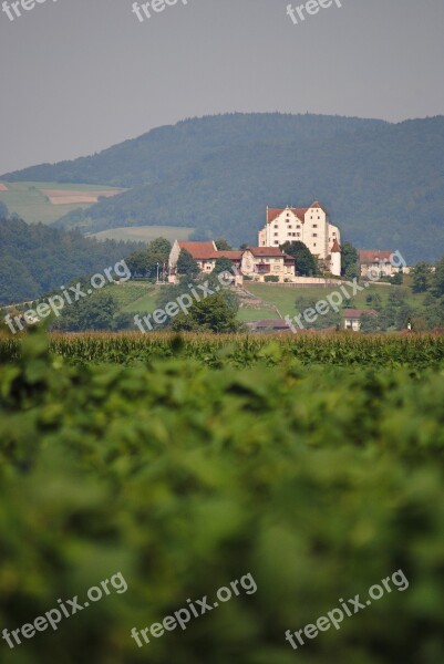 Wildegg Castle Aargau Switzerland Landscape