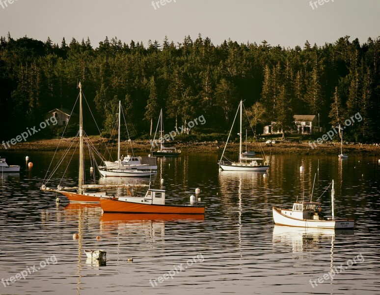 Maine Harbor Bay Boats Ships