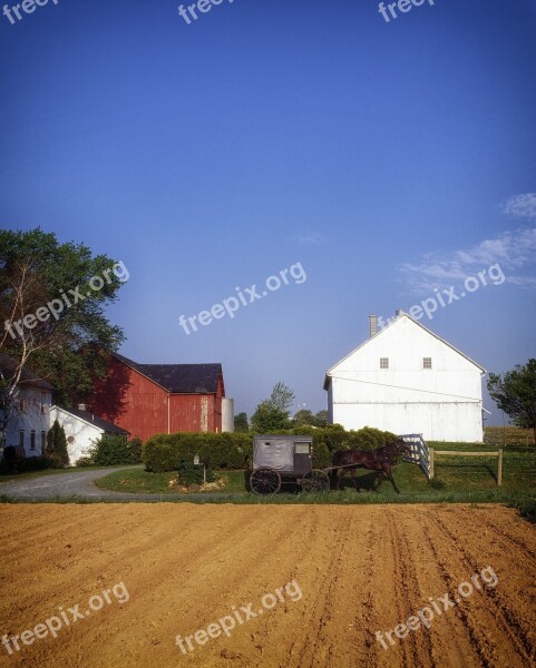 Pennsylvania Lancaster Country Amish Buggy Horse