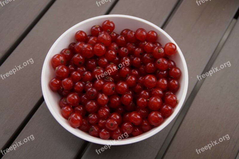 Currants Berries Bowl Fruit Red