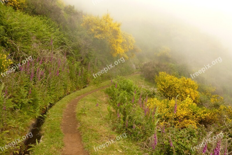 Hiking Madeira Portugal Trail Clouds