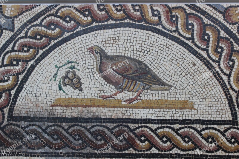 Antique Mosaic Rome Vestige Archaeology