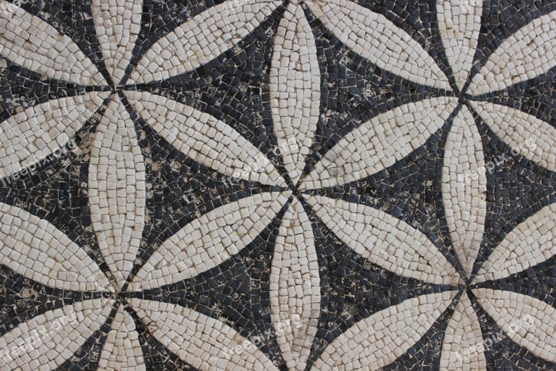 Antique Mosaic Rome Vestige Archaeology