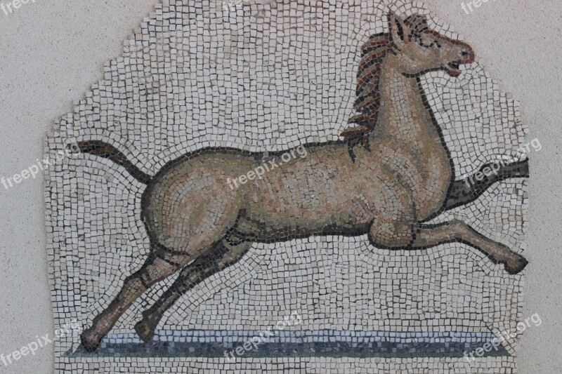 Antique Mosaic Rome Vestige Archaeology