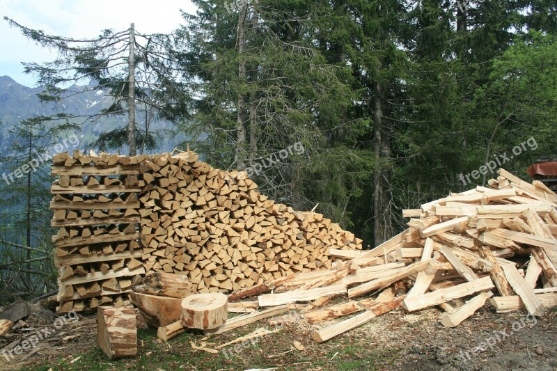 Wood Pile Forest Timber Industry