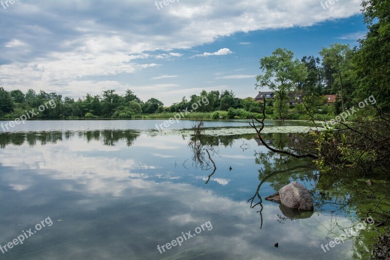 Water Lake Clouds Mirroring Forest