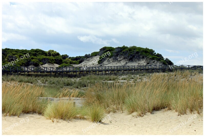 Bridge Web Dunes Spain Architecture