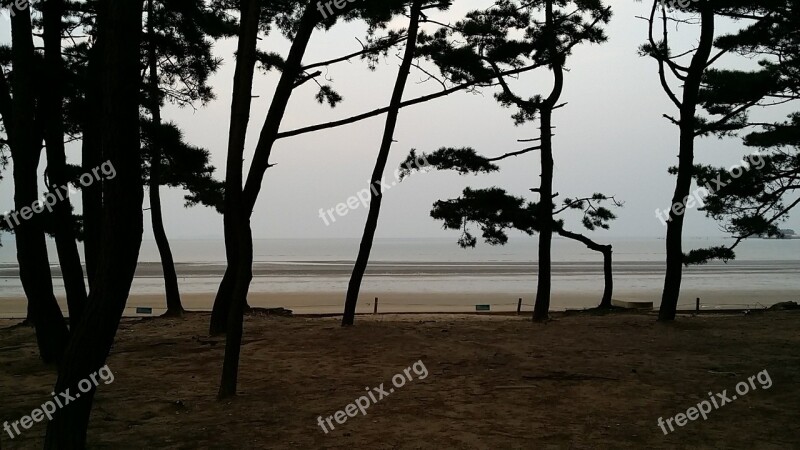 Sea Mongsanpo Bathing Beach Republic Of Korea Free Photos