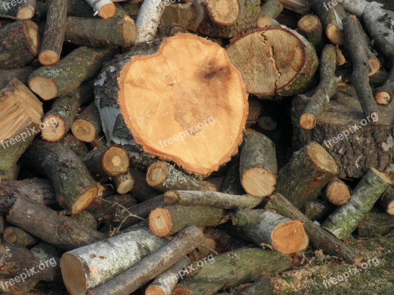 Wood Sawn Timber Stack Tree