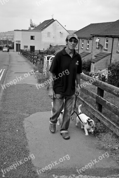 Man Walking Dogs Male Person