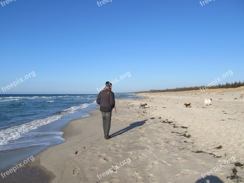 Beach Relaxation Wide Sand Beach Nature